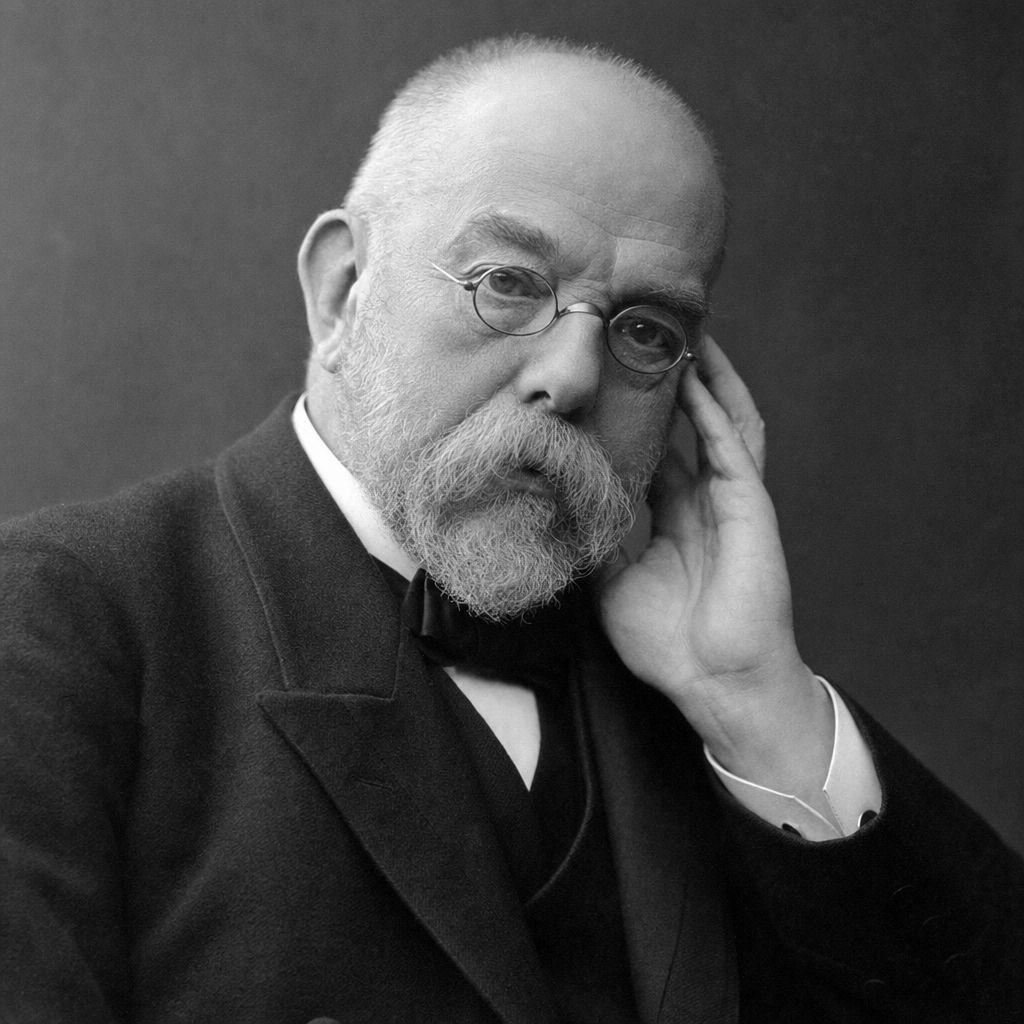 Koch,Robert Ein Bild zum Thema Koch,Robert im allgemeiner Kontext,Allgemeinwissen Kontext
